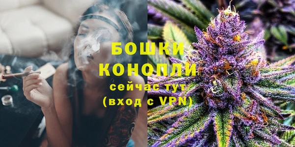 a pvp Белокуриха
