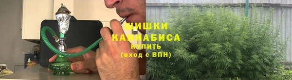 apvp Гусев