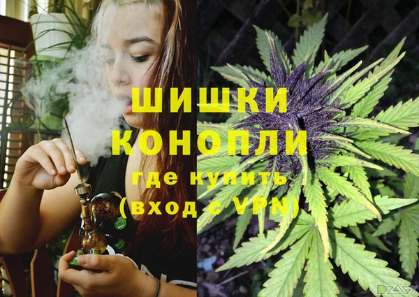 a pvp Белокуриха