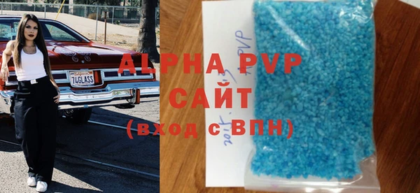 a pvp Белокуриха